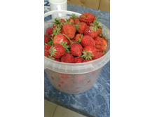 ������� 3 �