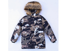 � ���� ����