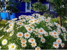 ������� ������������� 80�.jpg