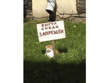 ��� ���!