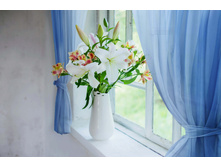 ����013-03762 �������.jpg