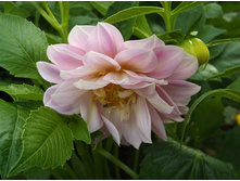 �������� ����������