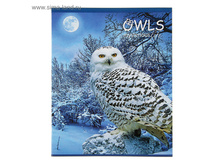 ������� 48 ������ ������ Owl life, ������� ������ ���������, 2� ����, ���� ���.3413823 ���� 15,57 ��� ���.10��.jpg