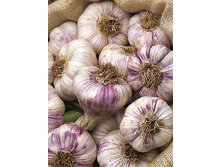 ������ ������ ������ 4, ���� 153��� (�������� 6�� �� 450��).jpg