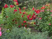 DSC 048212.JPG