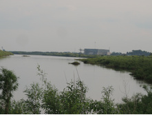 DSCN7486.JPG