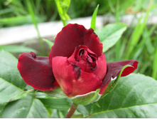 ���� ������� / ��������� ���������.JPG