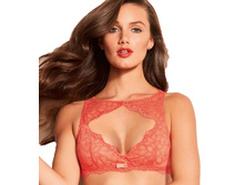 Dr**eam Sp**otlight N.jpg