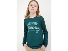 20110170043   Meyn        -       .jpg