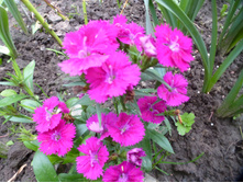 P1070825.JPG �������� ���������