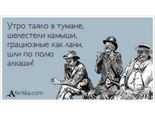 32336848 167473770755877 3334713402906902528 n.jpg