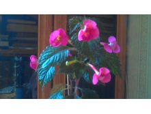 �������� Hard To Get