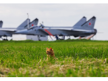 ��� �����!