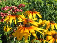 � ��������.JPG