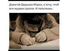 24993179 1581017978631249 5092383294153515575 n.jpg