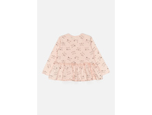 20250100006   Abrikos             (   ).jpg