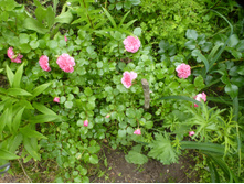 P1070847.JPG ���� �������������� ;"4 ������"