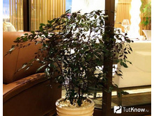 1���� ��������- ������ �������� �������� ..