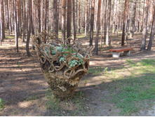 DSCN7399.JPG