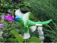 � ��������.JPG