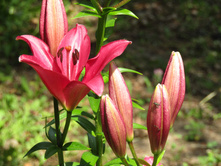 ����� ������.JPG