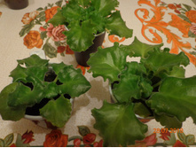 ������� � ������ ������.