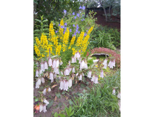 2 ���� ������������� � ���������.