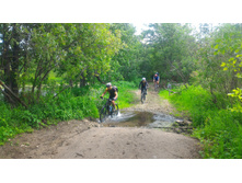 P 20180707 104722-01.jpeg