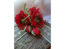 IMG 20180704 162531.jpg