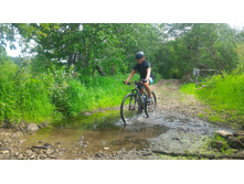 P 20180707 104753-01.jpeg