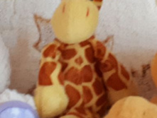 ������ ������� - ����������� ����� , 250�