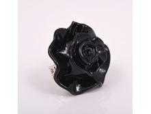 ������ Rosa media (������)