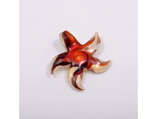 �������� ������ picciola (�������/������/������)