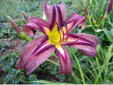 ���� ��������.jpg