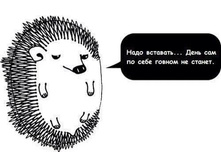 33704724 790191464518669 152706552891965440 n.jpg