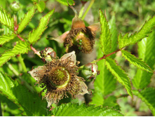 ���������� ������.JPG