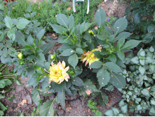 �������� ������� ����� .JPG