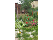 �����