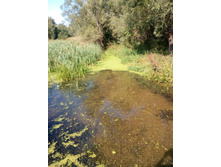 IMG 20180818 142347.jpg