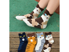 � �� ����