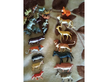 IMG 20180820 103958.jpg