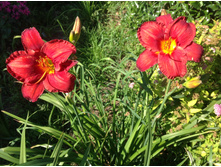 �������� ������ ����