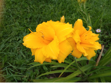 IMG 20180807 145723.jpg