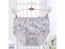 � ����.����