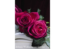 ���� Johann Wolfgang von Goethe (�������� 22��).jpeg