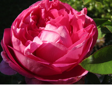 ���� � ������������ �����