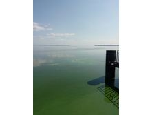 IMG 20180818 131432.jpg