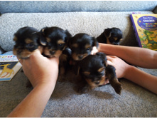 IMG 20180815 130438.jpg