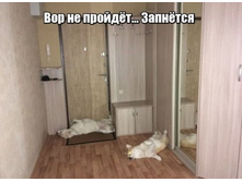 ��� �� ����ģ�. ���Σ���.