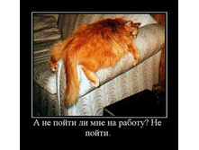 � �� ����� �� ��� �� ������? �� �����.